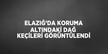 24122242752535228534tasarimli