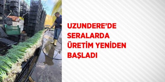 UZUNDERE’DE SERALARDA ÜRETİM YENİDEN BAŞLADI