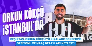 24128207612802530518tasarimli