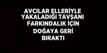 24130233703077925490tasarimli