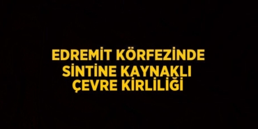 24132306163015726791tasarimli