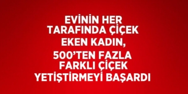 24143204572602131259tasarimli
