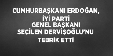 24146216032341424955tasarimli