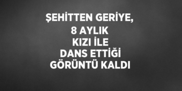 24156289242133031141tasarimli
