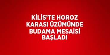 24162236602916025683tasarimli