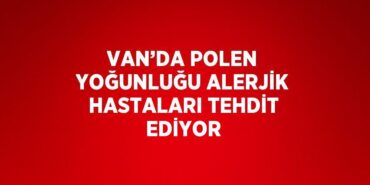 24175224522580023879tasarimli