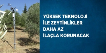 24178309862304324138