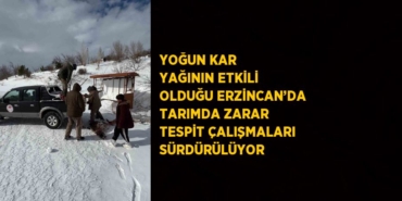 24183303852655030650