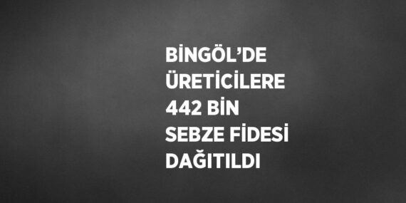 BİNGÖL’DE ÜRETİCİLERE 442 BİN SEBZE FİDESİ DAĞITILDI