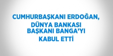 24203248523176620917tasarimli
