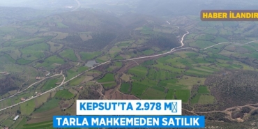 24208296652371729900tasarimli