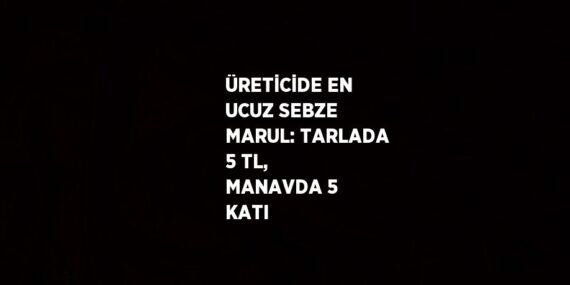 ÜRETİCİDE EN UCUZ SEBZE MARUL: TARLADA 5 TL, MANAVDA 5 KATI