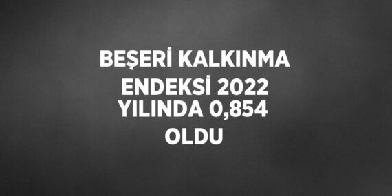 BEŞERİ KALKINMA ENDEKSİ 2022 YILINDA 0,854 OLDU