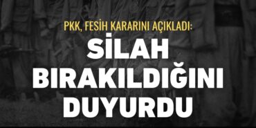 24230226262941023525