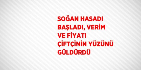 SOĞAN HASADI BAŞLADI, VERİM VE FİYATI ÇİFTÇİNİN YÜZÜNÜ GÜLDÜRDÜ