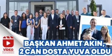 24236242792428223870