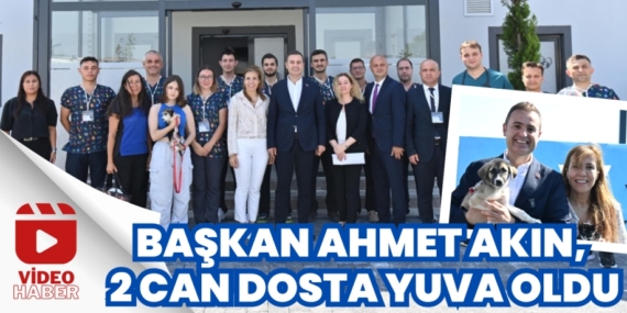 BAŞKAN AHMET AKIN, 2 CAN DOSTA YUVA OLDU
