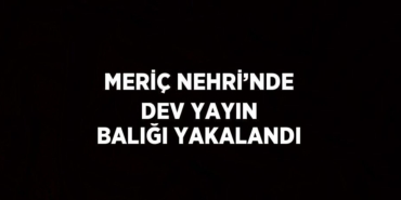 24238241592643529676tasarimli