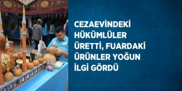 24248225602164427371