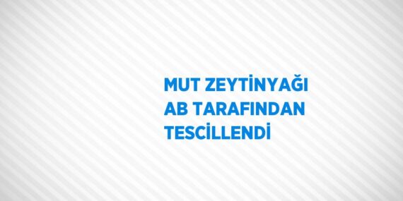 MUT ZEYTİNYAĞI AB TARAFINDAN TESCİLLENDİ