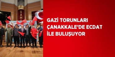 24253231153180823588