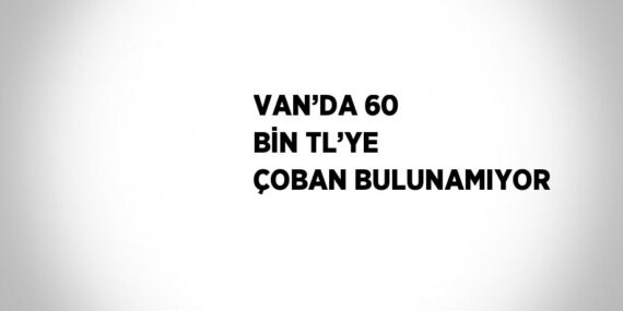 VAN’DA 60 BİN TL’YE ÇOBAN BULUNAMIYOR