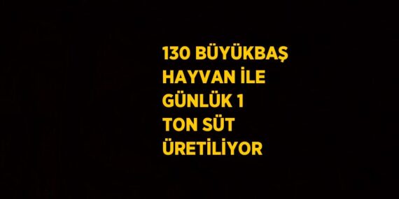 130 BÜYÜKBAŞ HAYVAN İLE GÜNLÜK 1 TON SÜT ÜRETİLİYOR