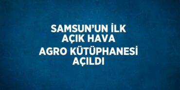 24260302342548527147tasarimli