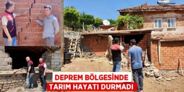 24262284752869525851tasarimli