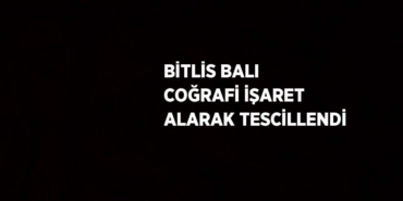 24266247362975130415