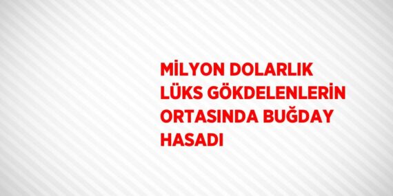 MİLYON DOLARLIK LÜKS GÖKDELENLERİN ORTASINDA BUĞDAY HASADI
