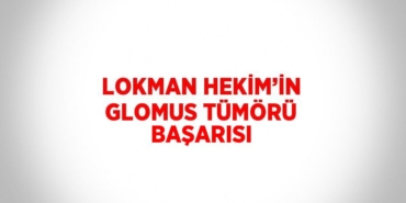 24274305102753925321tasarimli