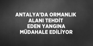 24279228462421426599tasarimli