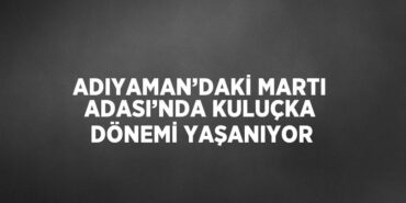 24288239132737924244tasarimli