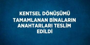 24293282052493021830tasarimli