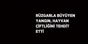 24303312533126222756