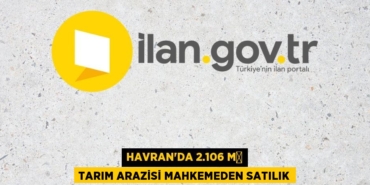 24306274172335831456tasarimli
