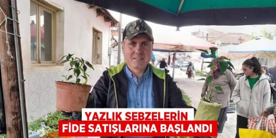 YAZLIK SEBZELERİN FİDE SATIŞLARINA BAŞLANDI