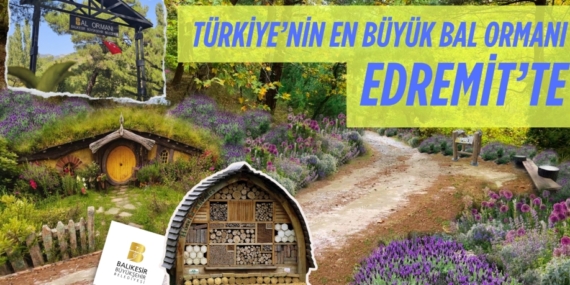 TÜRKİYE’NİN EN BÜYÜK BAL ORMANI EDREMİT’TE