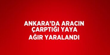 24313277342949822075tasarimli