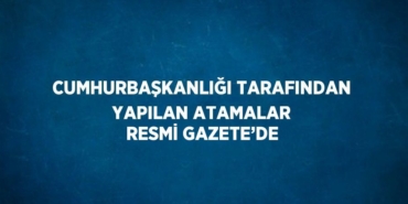 24313298212962920628tasarimli