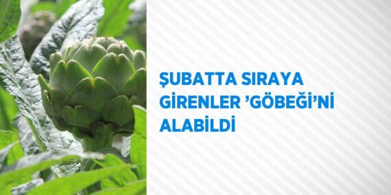 ŞUBATTA SIRAYA GİRENLER ’GÖBEĞİ’Nİ ALABİLDİ