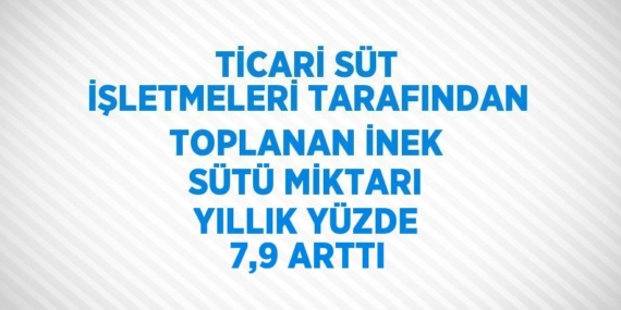 TİCARİ SÜT İŞLETMELERİ TARAFINDAN TOPLANAN İNEK SÜTÜ MİKTARI YILLIK YÜZDE 7,9 ARTTI