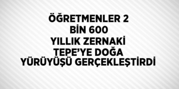 24325242612525430911tasarimli