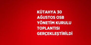 24325259192623629929