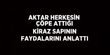 24326229382503527538tasarimli