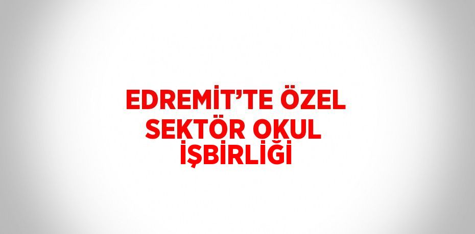 24330290163181329624tasarimli