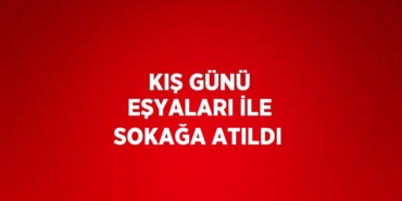 24335286713017129661tasarimli