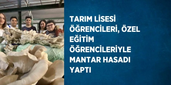 TARIM LİSESİ ÖĞRENCİLERİ, ÖZEL EĞİTİM ÖĞRENCİLERİYLE MANTAR HASADI YAPTI