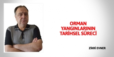 24337310012650530417